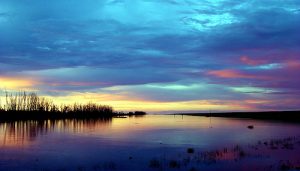 Okeechobee County - Lake Okeechobee Sunset