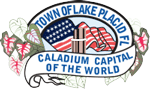 Town of Lake Placid logo