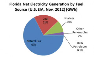 Florida Net Electricity Generation by Fuel Source