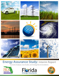 energy_assurance_interim_report_march_2013_cover
